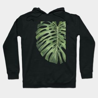 Monstera Plant Leaf 7 Hoodie